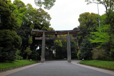 Shibuya Şehri, Tokyo, Japonya 'da Meiji Jingu (Ormanla çevrili Şinto türbesi).