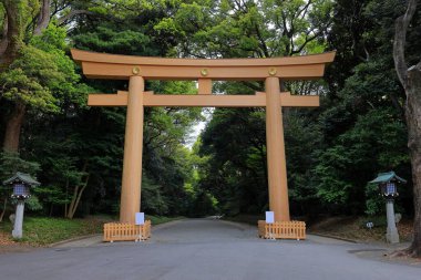 Shibuya Şehri, Tokyo, Japonya 'da Meiji Jingu (Ormanla çevrili Şinto türbesi).