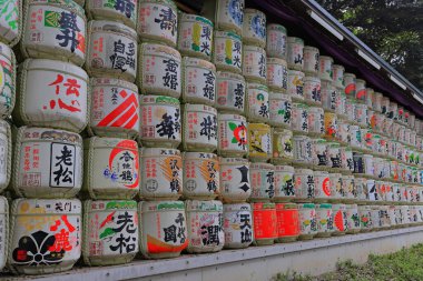 Shibuya Şehri, Tokyo, Japonya 'da Meiji Jingu (Ormanla çevrili Şinto türbesi).