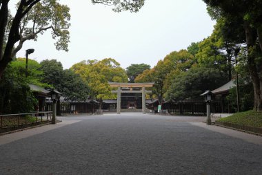 Shibuya Şehri, Tokyo, Japonya 'da Meiji Jingu (Ormanla çevrili Şinto türbesi).