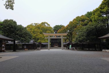 Shibuya Şehri, Tokyo, Japonya 'da Meiji Jingu (Ormanla çevrili Şinto türbesi).