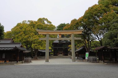 Shibuya Şehri, Tokyo, Japonya 'da Meiji Jingu (Ormanla çevrili Şinto türbesi).