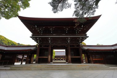 Shibuya Şehri, Tokyo, Japonya 'da Meiji Jingu (Ormanla çevrili Şinto türbesi).