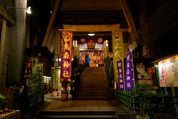 Храм Карасумори Небольшой Синтоистский Храм Века Минато Токио Япония — стоковое фото