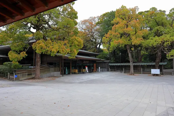 Shibuya Şehri Tokyo Japonya Meiji Jingu Ormanla Çevrili Şinto Türbesi — Stok fotoğraf