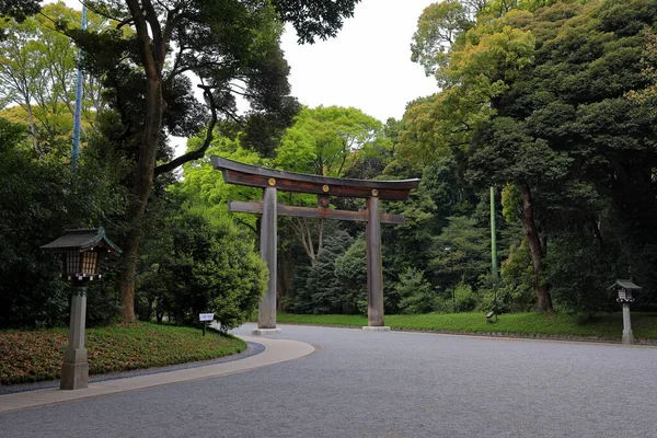Meiji Jingu Schintoistischer Schrein Umgeben Von Wald Shibuya Tokio Japan — Stockfoto