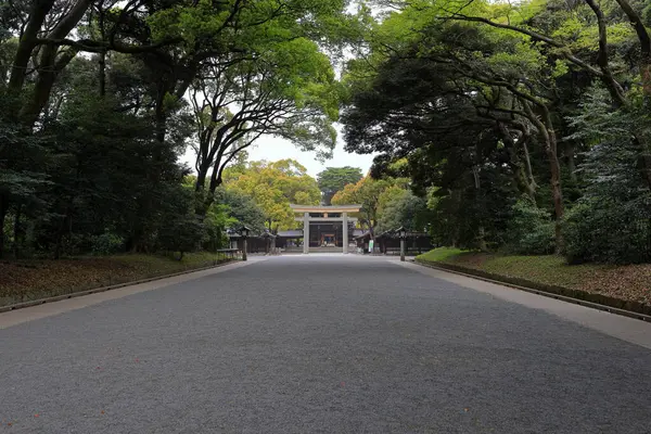 日本东京石布亚市明治静室 神道神龛周围是森林 — 图库照片