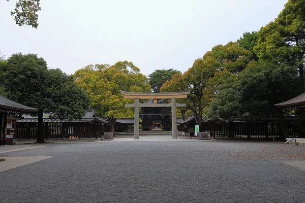 Фецзи Цзингу Синтоистский Храм Окружении Леса Городе Сибуя Токио Япония — стоковое фото
