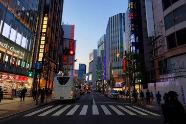  Tokyo, Japonya 'da neon ışıklı gece manzarası