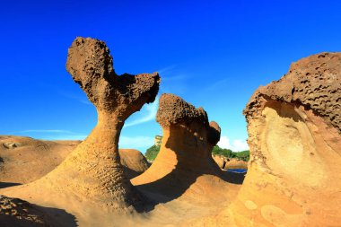 Yehliu Geopark 'taki doğal kaya oluşumu, Wanli, New Taipei City, Tayvan' ın en ünlü harikalarından biri..
