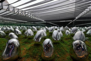  Tokyo, Japonya 'daki takım çalışması laboratuarının takım laboratuarındaki sergi odası.