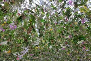 Tokyo, Japonya 'daki takım çalışması laboratuarının takım laboratuarındaki sergi odası.