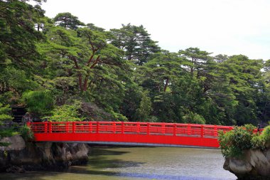 Matsushima Körfezi, Japonya Miyagi Bölgesi 'nde çam ağaçlarıyla kaplı güzel adalar.