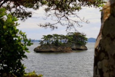 Matsushima Körfezi, Japonya Miyagi Bölgesi 'nde çam ağaçlarıyla kaplı güzel adalar.