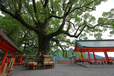 Nachisan, Nachikatsuura, Wakayama, Japonya 'daki Kumano-Nachi Büyük Tapınağı