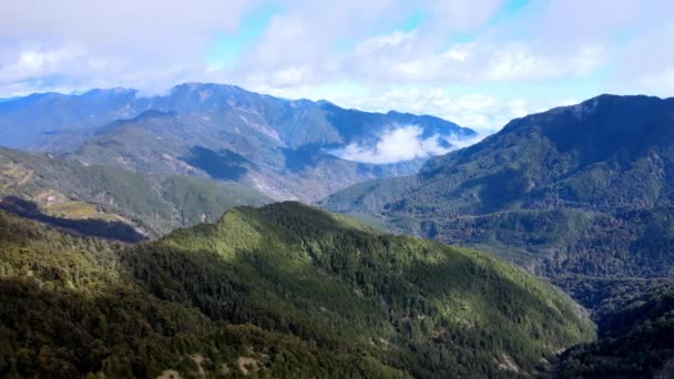 Nantou Tayvan Daki Hehuanshan Ulusal Orman Dinlenme Bölgesi Nin Güzel — Stok video