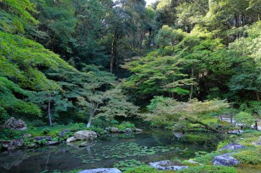 Nanzen-in 'deki bahçe, Zen bahçesi olan bir Budist tapınağı kompleksi, Japonya' nın Kyoto kentindeki orman arazisi.