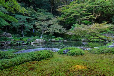 Nanzen-in 'deki bahçe, Zen bahçesi olan bir Budist tapınağı kompleksi, Japonya' nın Kyoto kentindeki orman arazisi.