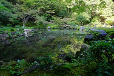 Nanzen-in 'deki bahçe, Zen bahçesi olan bir Budist tapınağı kompleksi, Japonya' nın Kyoto kentindeki orman arazisi.