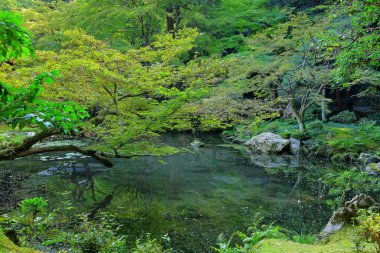 Nanzen-in 'deki bahçe, Zen bahçesi olan bir Budist tapınağı kompleksi, Japonya' nın Kyoto kentindeki orman arazisi.