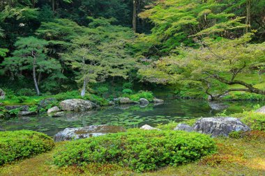Nanzen-in 'deki bahçe, Zen bahçesi olan bir Budist tapınağı kompleksi, Japonya' nın Kyoto kentindeki orman arazisi.