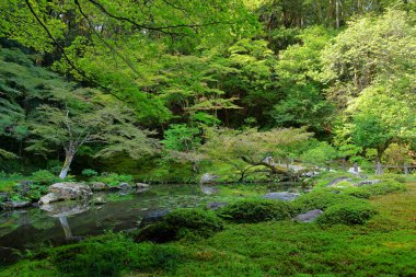 Nanzen-in 'deki bahçe, Zen bahçesi olan bir Budist tapınağı kompleksi, Japonya' nın Kyoto kentindeki orman arazisi.