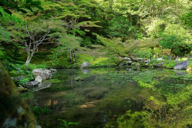Nanzen-in 'deki bahçe, Zen bahçesi olan bir Budist tapınağı kompleksi, Japonya' nın Kyoto kentindeki orman arazisi.