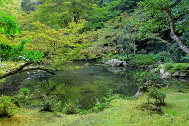 Nanzen-in 'deki bahçe, Zen bahçesi olan bir Budist tapınağı kompleksi, Japonya' nın Kyoto kentindeki orman arazisi.