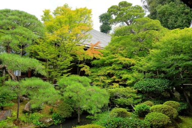 Eikan-do Tapınağı 'ndaki bahçe, Japonya' nın Kyoto şehrinde antik sanat ve Zen bahçesi olan büyük bir Budist tapınağı.