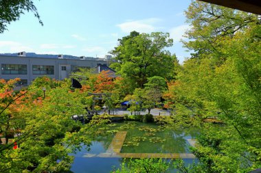 Eikan-do Tapınağı 'ndaki bahçe, Japonya' nın Kyoto şehrinde antik sanat ve Zen bahçesi olan büyük bir Budist tapınağı.