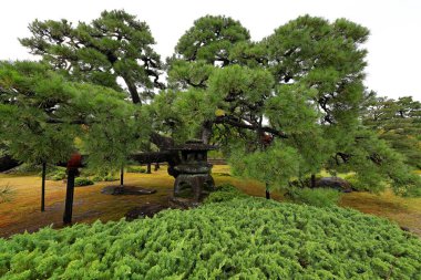 Nijo Kalesi 'ndeki bahçeler Nijojocho, Nakagyo Ward, Kyoto, Japonya' daki Shogun Leyasu 'nun evi.