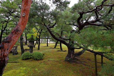 Nijo Kalesi 'ndeki bahçeler Nijojocho, Nakagyo Ward, Kyoto, Japonya' daki Shogun Leyasu 'nun evi.