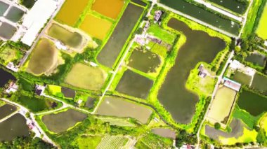 Doğu Tayvan 'daki Hualien' da bulunan Aquafarm (balıkçı havuzu) hava manzarası