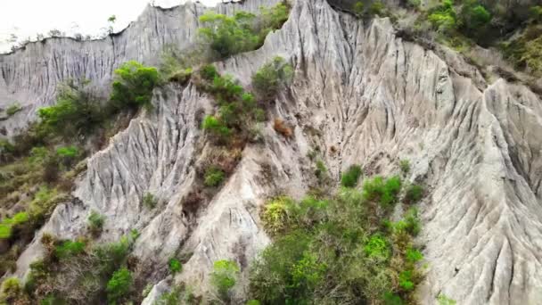 Liji Badland Geopark Taitung Tayvan Beinan Deresi Ile Birlikte — Stok video