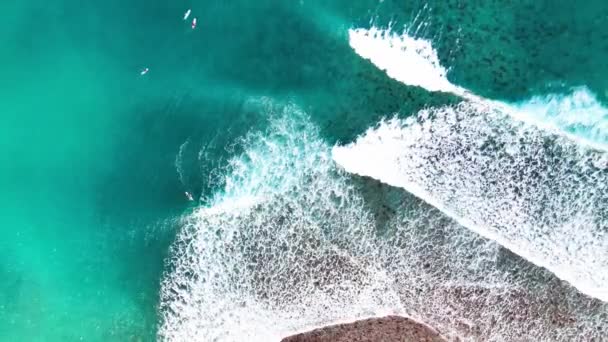 台湾東部の台東にある金山港の横にあるサーフィンスポット 金山遊楽区 からの眺め — ストック動画