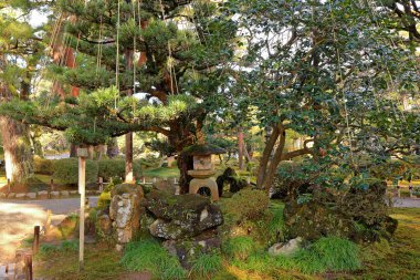 Kenroku-en Kanazawa, Ishikawa, Japonya 'da, Japonya' nın üç büyük bahçesinden biri..