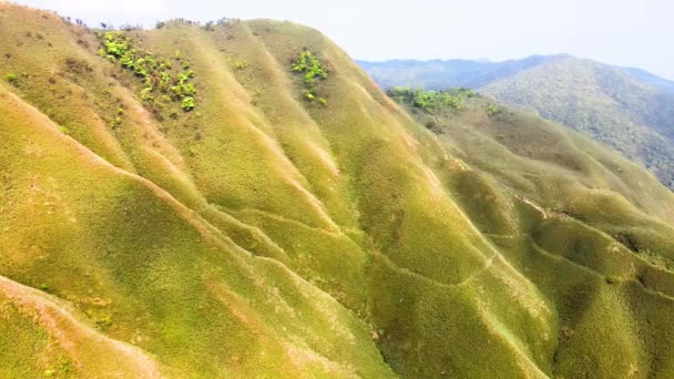 Знаменитая Гора Маття Зеленый Чай Пешеходная Тропа Шэнму Тропа Мариан — стоковое видео