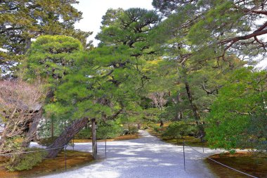 Kyoto İmparatorluk Sarayı (Kyoto Gyoen Ulusal Bahçesi) Kyotogyoen, Kamigyo Ward, Kyoto, Japonya