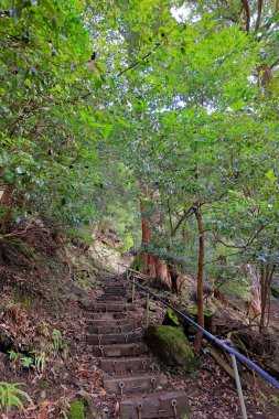 Kuramakibunecho, Sakyo Ward, Kyoto, Japonya 'daki Kurama-dera Tapınağı ile Kifune Tapınağı arasındaki dağ yolu. 