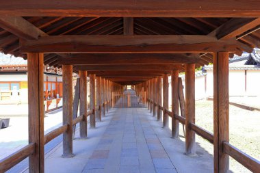 Tofuku-ji Tapınağı Honmachi, Higashiyama Ward, Kyoto, Japonya 'da sonbahar yeşillikleriyle bilinen bir Budist tapınağı.