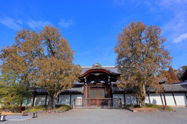 Tofuku-ji Tapınağı Honmachi, Higashiyama Ward, Kyoto, Japonya 'da sonbahar yeşillikleriyle bilinen bir Budist tapınağı.