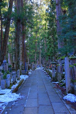 Kongobu-ji Okuno-in Okunoin Mezarlığı Koyasan, Koya, Ito Bölgesi, Wakayama, Japonya