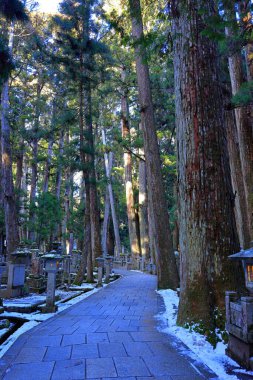 Kongobu-ji Okuno-in Okunoin Mezarlığı Koyasan, Koya, Ito Bölgesi, Wakayama, Japonya