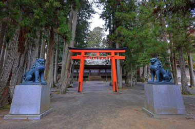 Kongobu-ji Danjo Garan bölgesindeki tapınak, Koyasan, Koya, Ito Bölgesi, Wakayama, Japonya 'daki tarihi Budist tapınağı kompleksi.