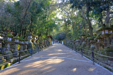  Kasuga Taisha, Kasuganocho, Nara, Japonya 'da feneri olan bir Shinto tapınağı.
