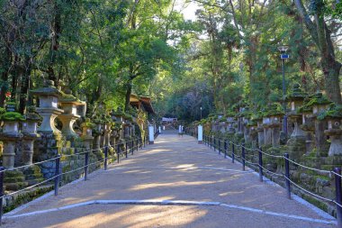  Kasuga Taisha, Kasuganocho, Nara, Japonya 'da feneri olan bir Shinto tapınağı.