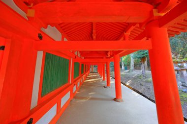  Kasuga Taisha, Kasuganocho, Nara, Japonya 'da feneri olan bir Shinto tapınağı.