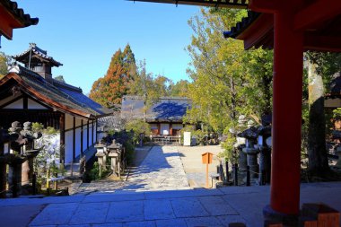  Kasuga Taisha, Kasuganocho, Nara, Japonya 'da feneri olan bir Shinto tapınağı.