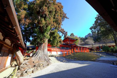  Kasuga Taisha, Kasuganocho, Nara, Japonya 'da feneri olan bir Shinto tapınağı.