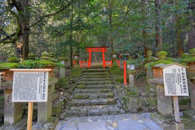  Kasuga Taisha, Kasuganocho, Nara, Japonya 'da feneri olan bir Shinto tapınağı.